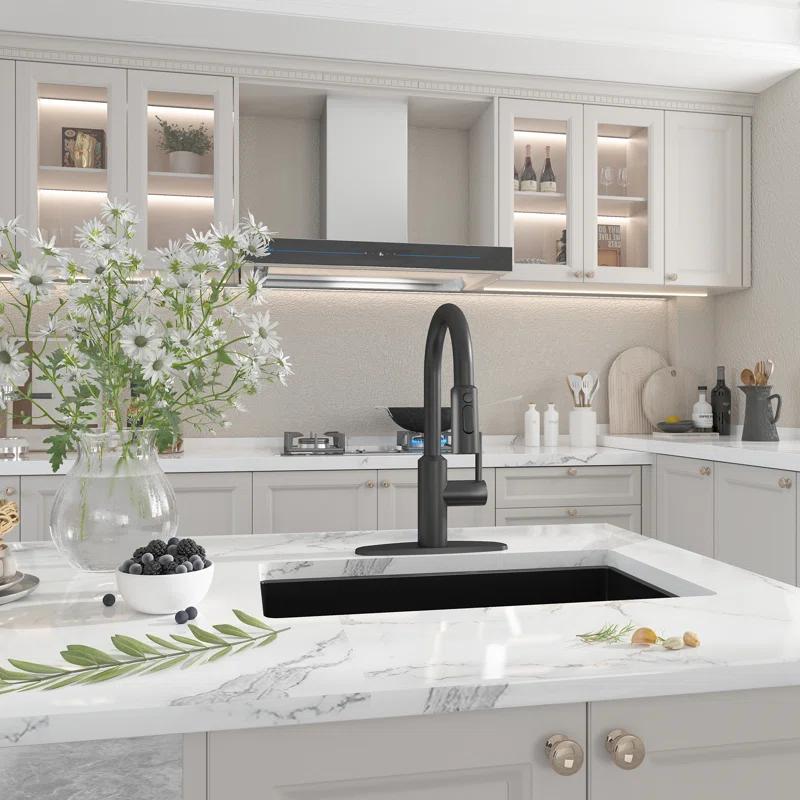 Boyel Living BL-APS244-MB Boyel Living Kitchen Faucet