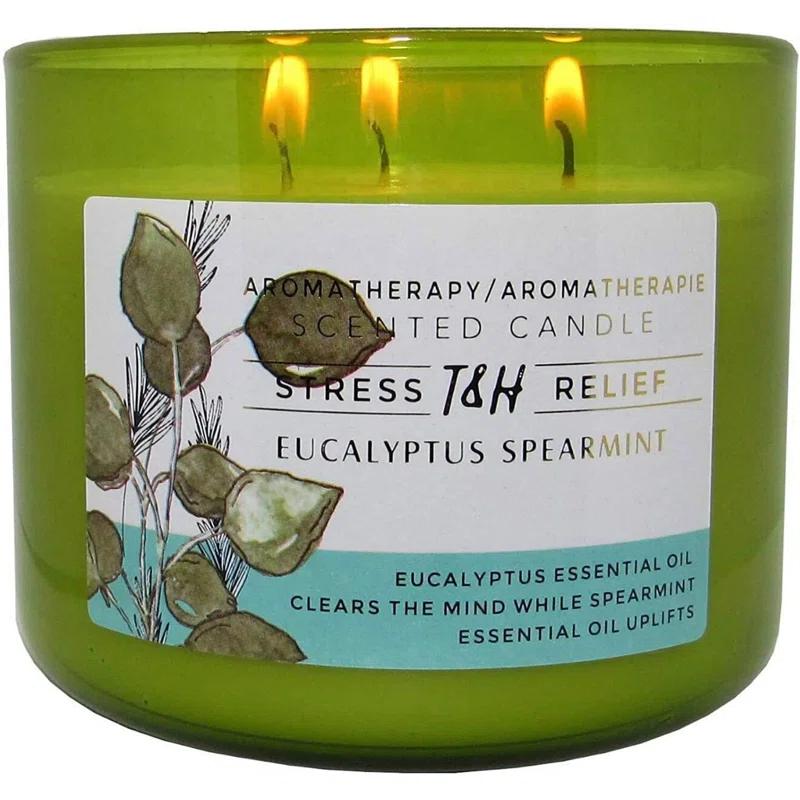 T&H Wholesalers Eucalyptus Spearmint Scented Soy Candle 3 Wick Aromatherapy Candle for Women and Men