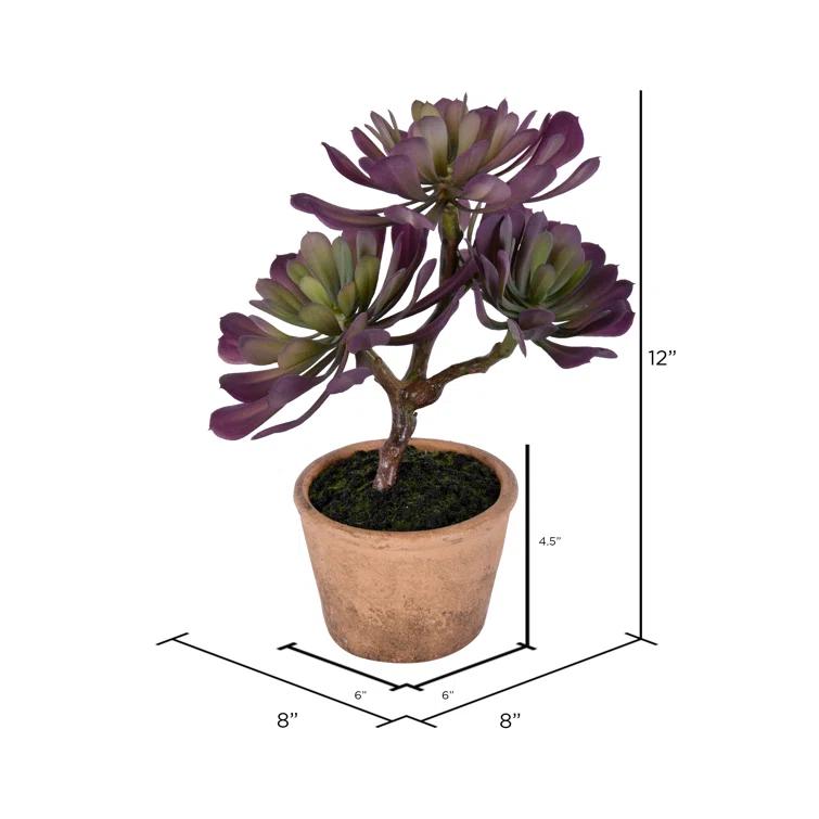 Union Rustic 12'' Faux Succulent in Wicker/Rattan Pot