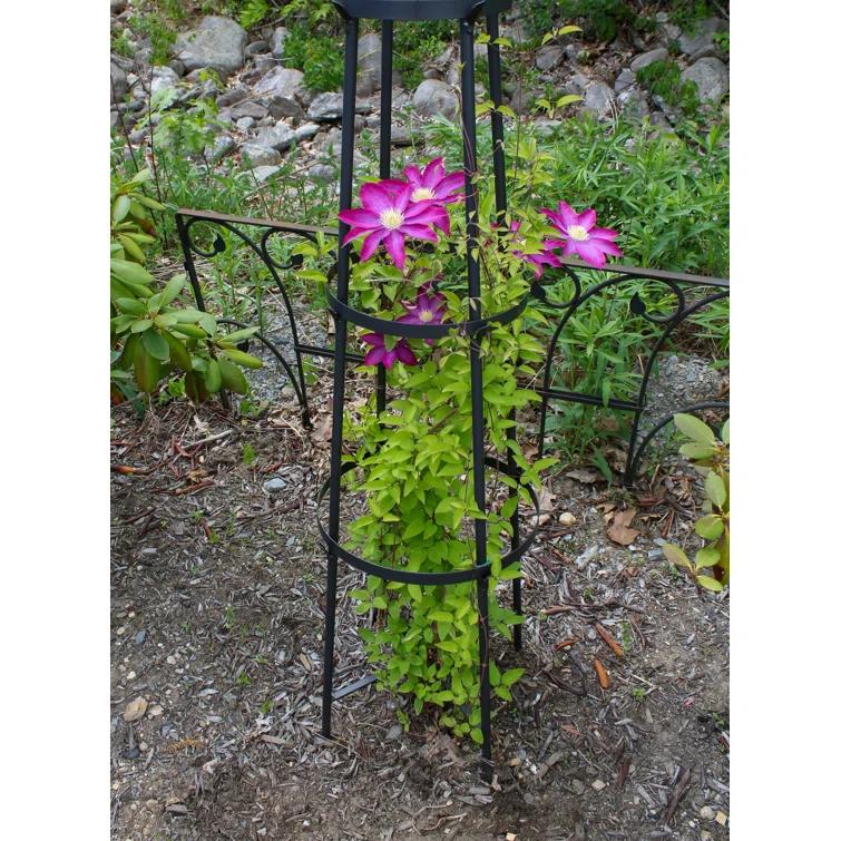 Latitude Run® Alarcon-Chacon 84'' H x 13'' W Iron Obelisk Trellis