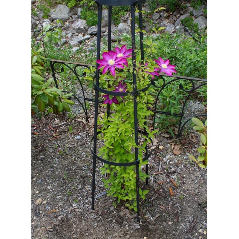 Latitude Run® Alarcon-Chacon 84'' H x 13'' W Iron Obelisk Trellis