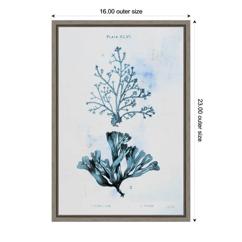 Winston Porter Blue Bay VIII by Deborah Revell Framed Canvas Wall Art Print