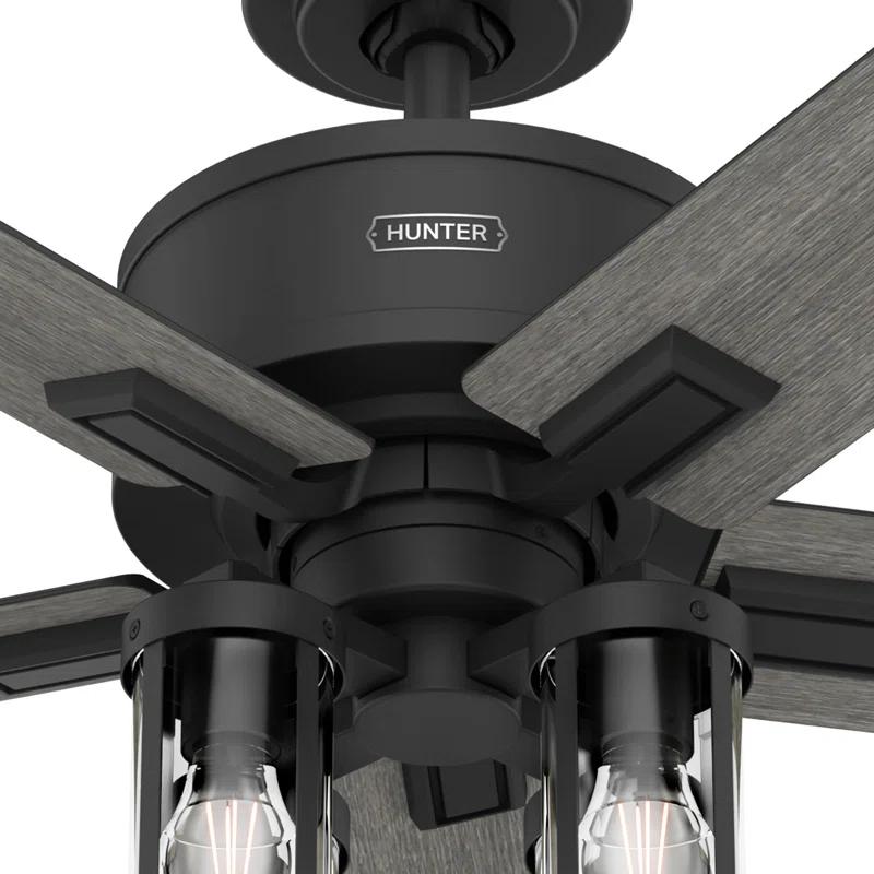 Hunter Fan Hunter 52 inch Astwood II Ceiling Fan with Lights and Remote