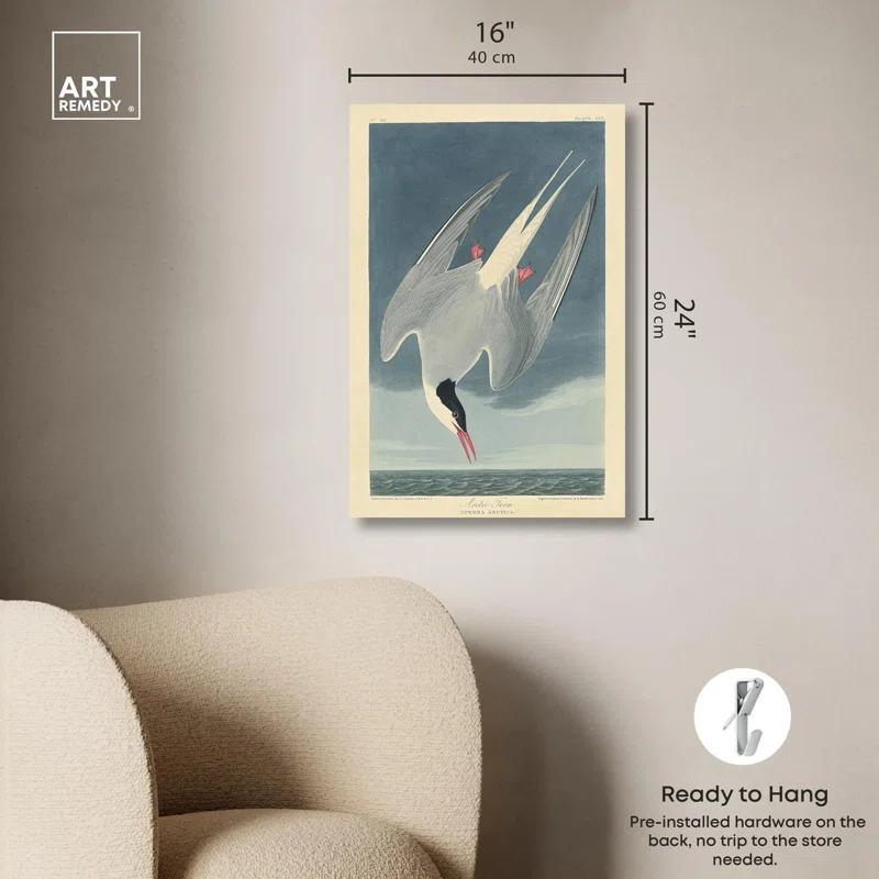 Art Remedy Arctic Tern Canvas Retro Japanese Art Prints by Art Remedy