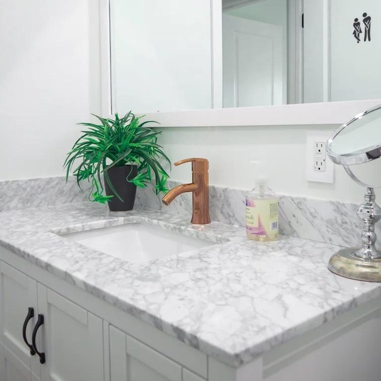 Eisen Home Waverly Single-Hole Single-handle Bathroom Faucet EH-10198N1-RG