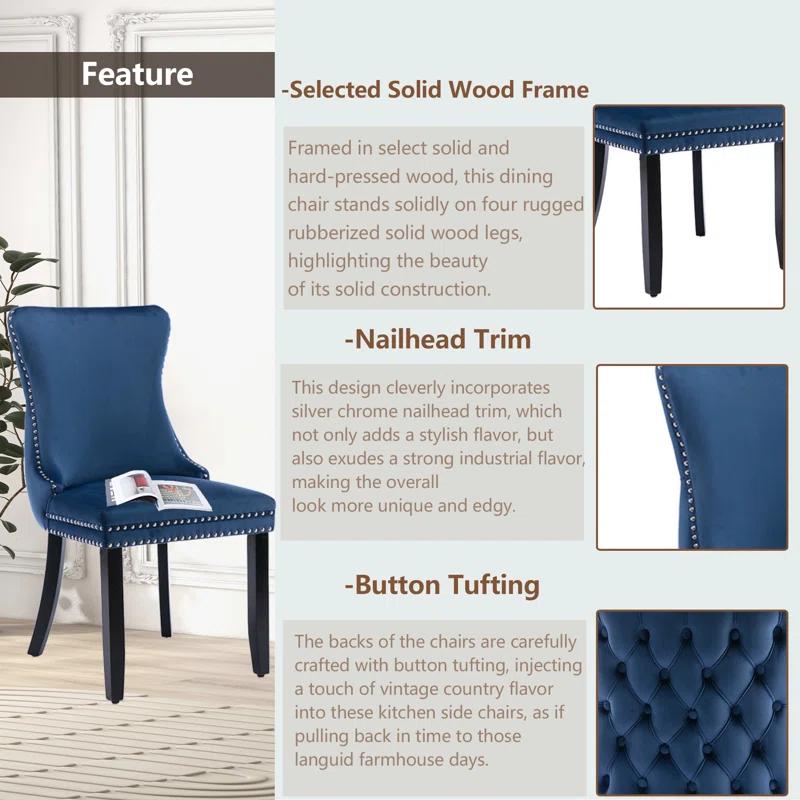 Velvet Wing Back Nailhead Tufted Dining Chair (Set of 4)