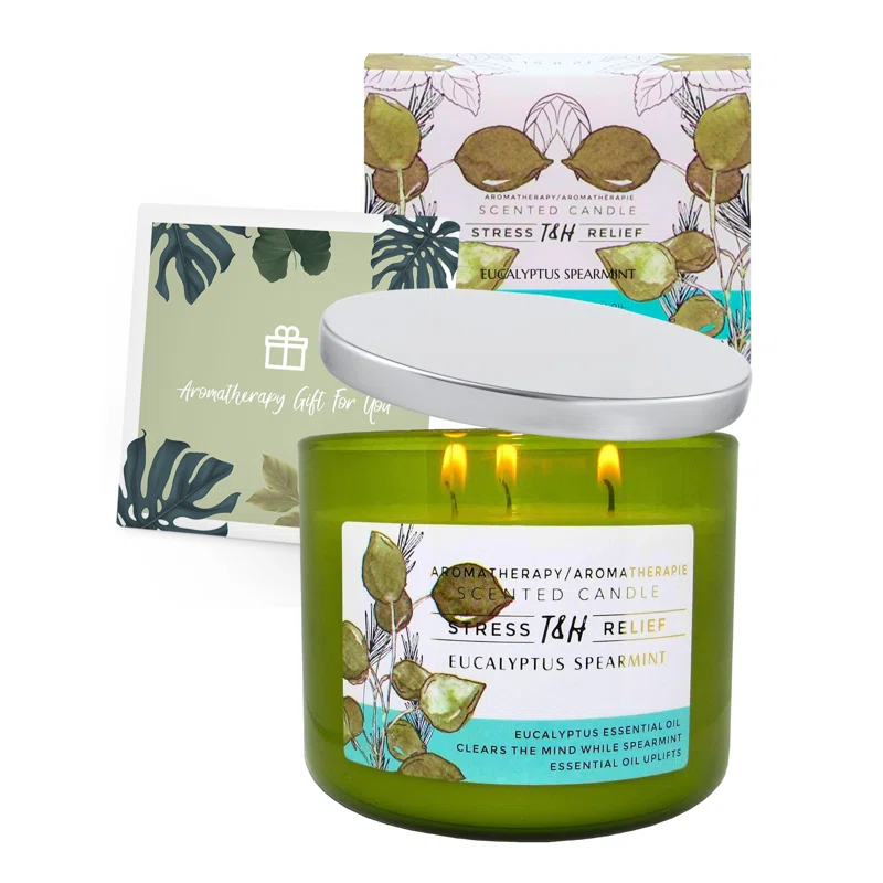 T&H Wholesalers Eucalyptus Spearmint Scented Soy Candle 3 Wick Aromatherapy Candle for Women and Men