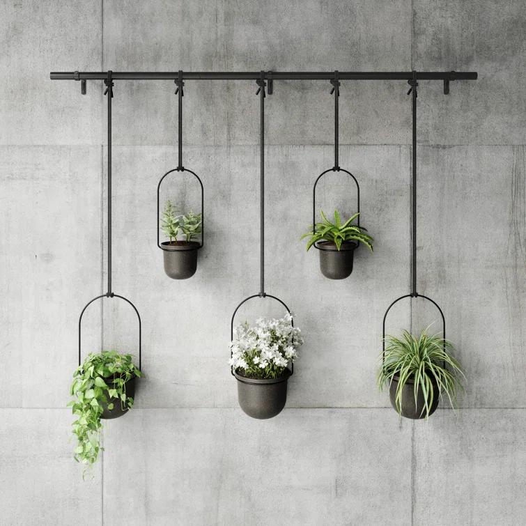Umbra Hanging Planter