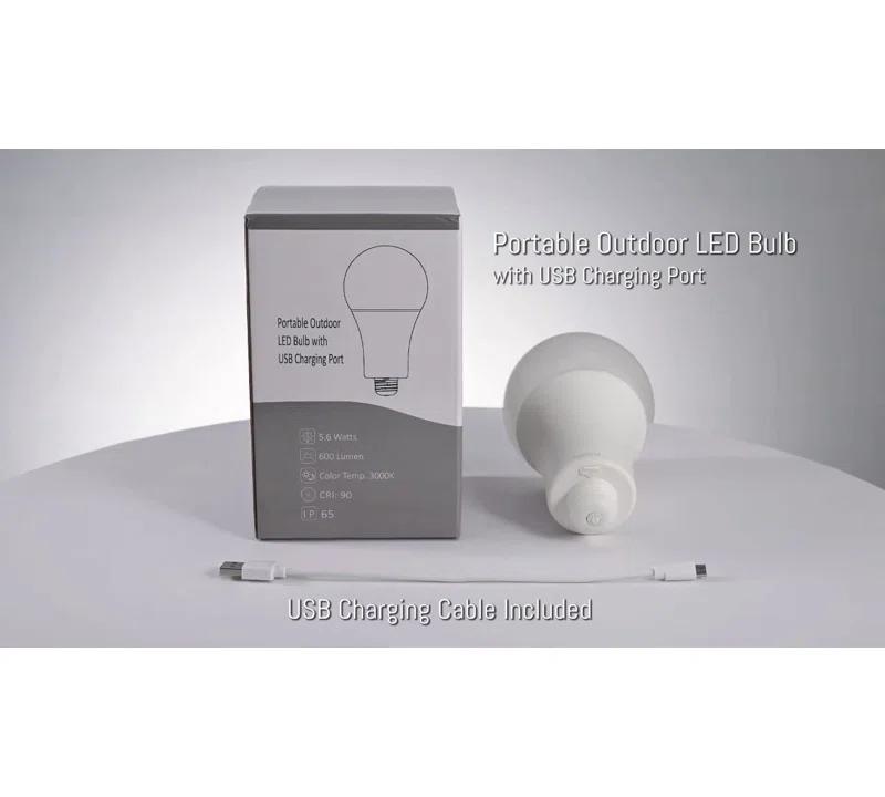 Longshore Tides Patro 28'' Battery Powered Integrated LED Outdoor Table Lamp