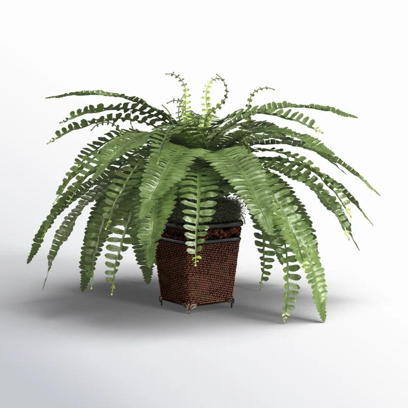 Birch Lane™ 23'' Faux Fern Plant in Wicker/Rattan Pot