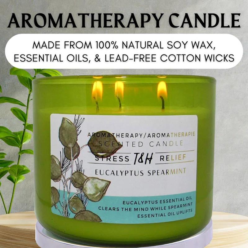 T&H Wholesalers Eucalyptus Spearmint Scented Soy Candle 3 Wick Aromatherapy Candle for Women and Men