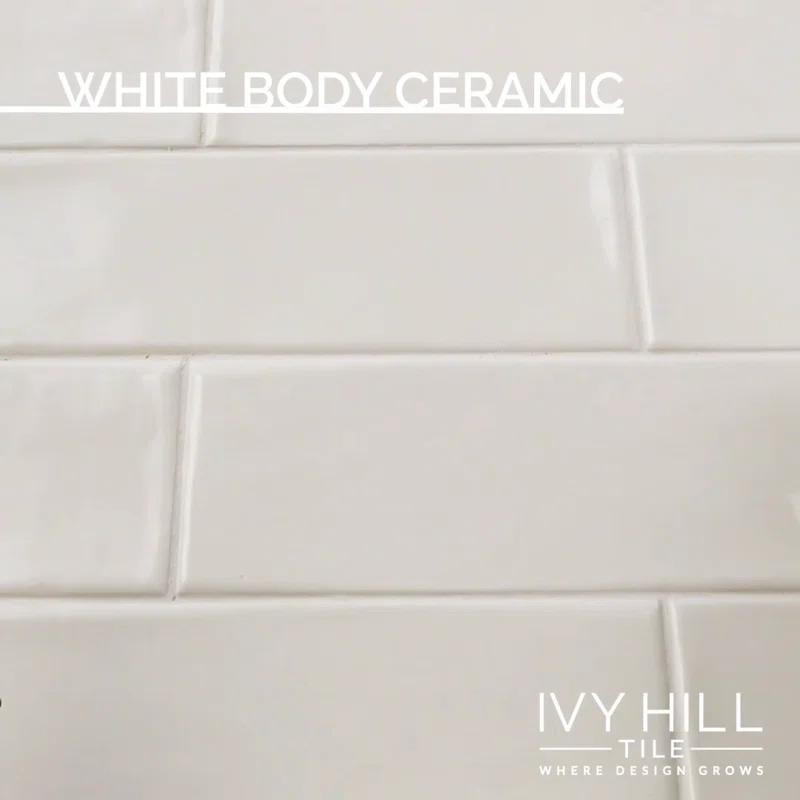 Midland 3'' W x 12'' L Polished Ceramic Subway Tile (5.38 sq. ft. / box)