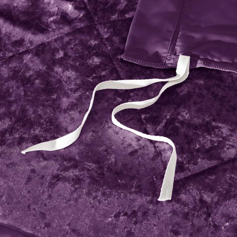 Intelligent Design Felicia Crushed Velvet Comforter Set with Throw Pillow