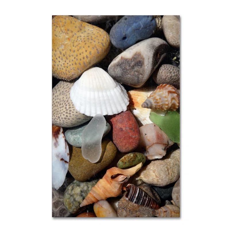 Trademark Fine Art "PetoskeyStones lV" by Michelle Calkins Photographic Print on Wrapped Canvas