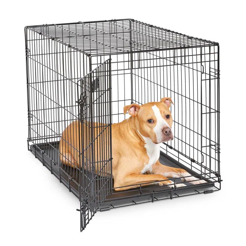 Midwest Homes For Pets MidWest Homes for Pets Newly Enhanced Single Door iCrate Dog Crate Includes Divider Panel
