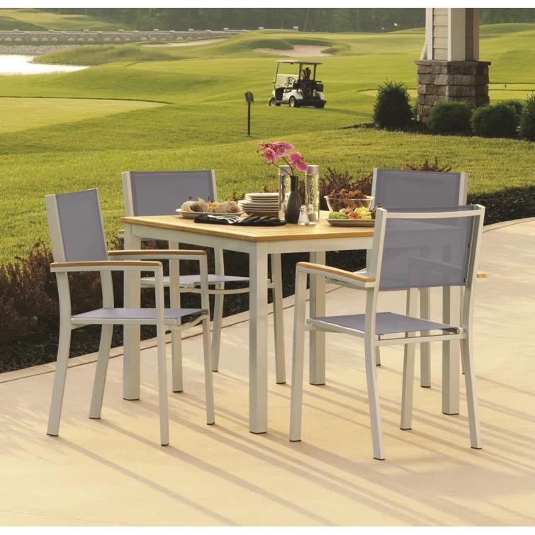 Hermes Indoor / Outdoor Dining Chair (Set of 2) - Gray and Carbon