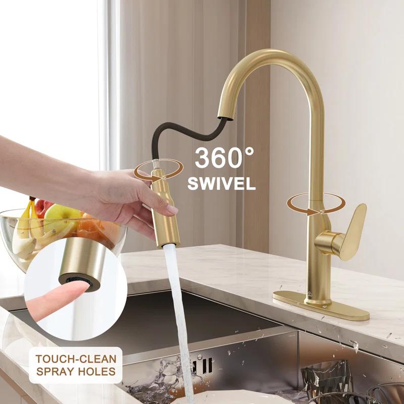 CASAINC CASAINC Single-Handle Pull-Down Kitchen Faucet Single Hole Faucet CA-D4171-BG