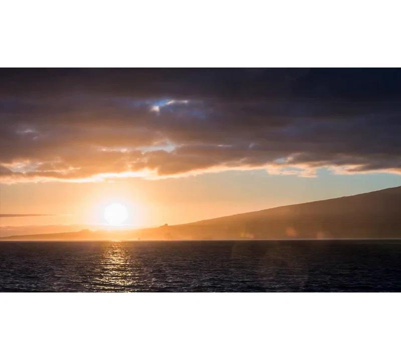 Tommy Bahama Home Bali Hai Flamingo Octagonal End Table