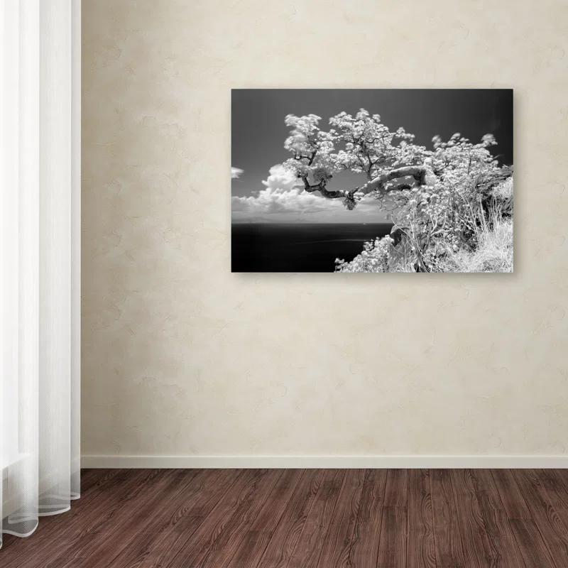 Trademark Fine Art " Intimate " by Michael De Guzman