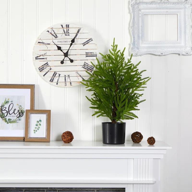 Primrue 2ft. Norfolk Island Pine Look Artificial Tree in Decorative Planter