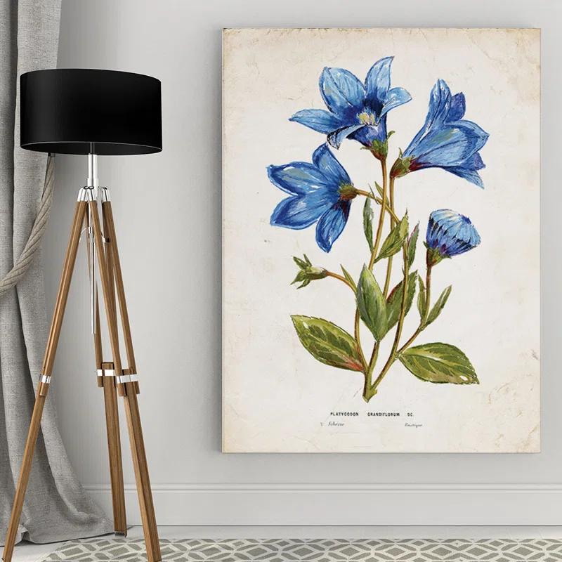 Wexford Home Farmhouse / Country