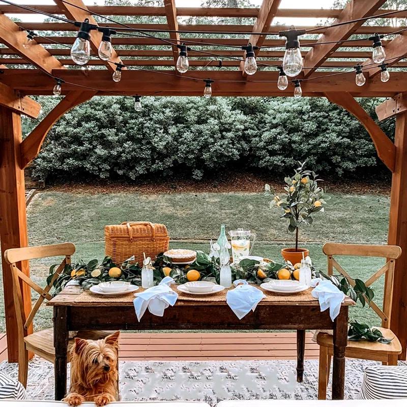 Brightech Ambience Pro 48 ft. Outdoor Solar-Powered LED String Lights with 15 Soft White S14 Bulbs, Weatherproof, Commercial-Grade Cord