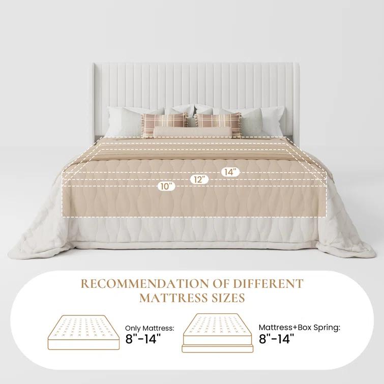 Willa Arlo™ Interiors Candler Velvet Upholstered Platform Bed with Wingback Headboard and Wooden Slats