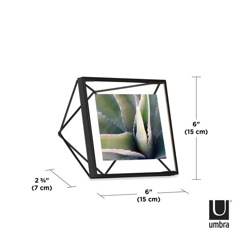 Umbra Prisma Metal Floater Picture Frame