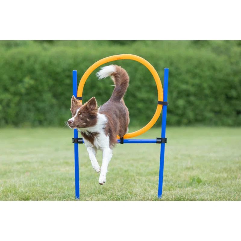 TRIXIE Dog Agility Ring, Portable Dog Hoop, Obstacle Course Equipment