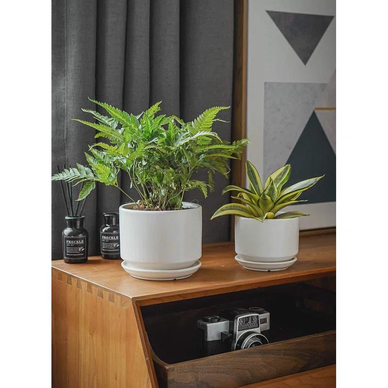 Set Of 3 Modern Ceramic Planter Pots With Drainage - Stylish Indoor/Outdoor Decor