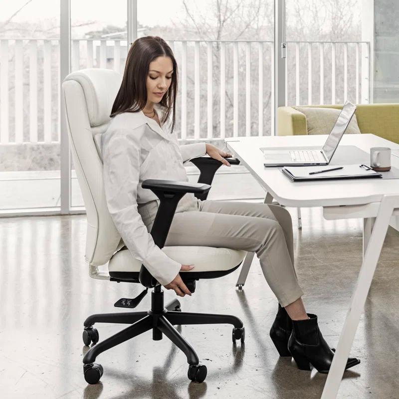 Wellnewlife Wellnew Posturelift Ergonomic Office Chair