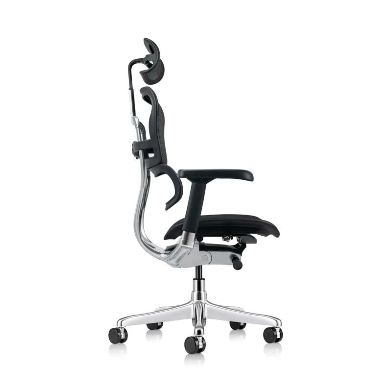 Eurotech Seating Ergohuman Executive Chair with Headrest