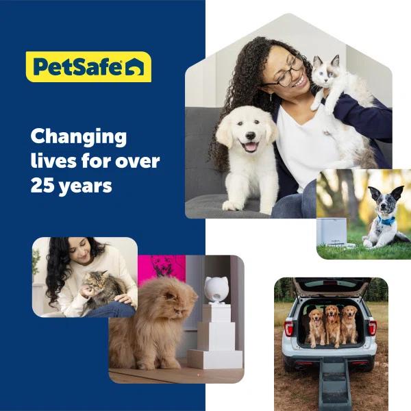 PetSafe Classic Replacement Flap, Medium & Reviews | Wayfair