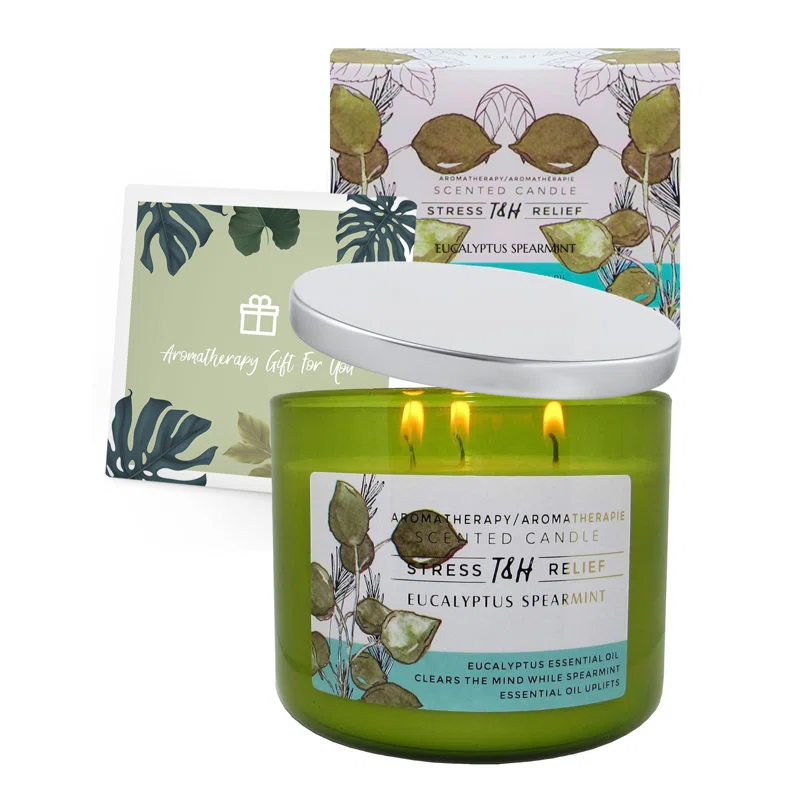 T&H Wholesalers Eucalyptus Spearmint Scented Soy Candle 3 Wick Aromatherapy Candle for Women and Men