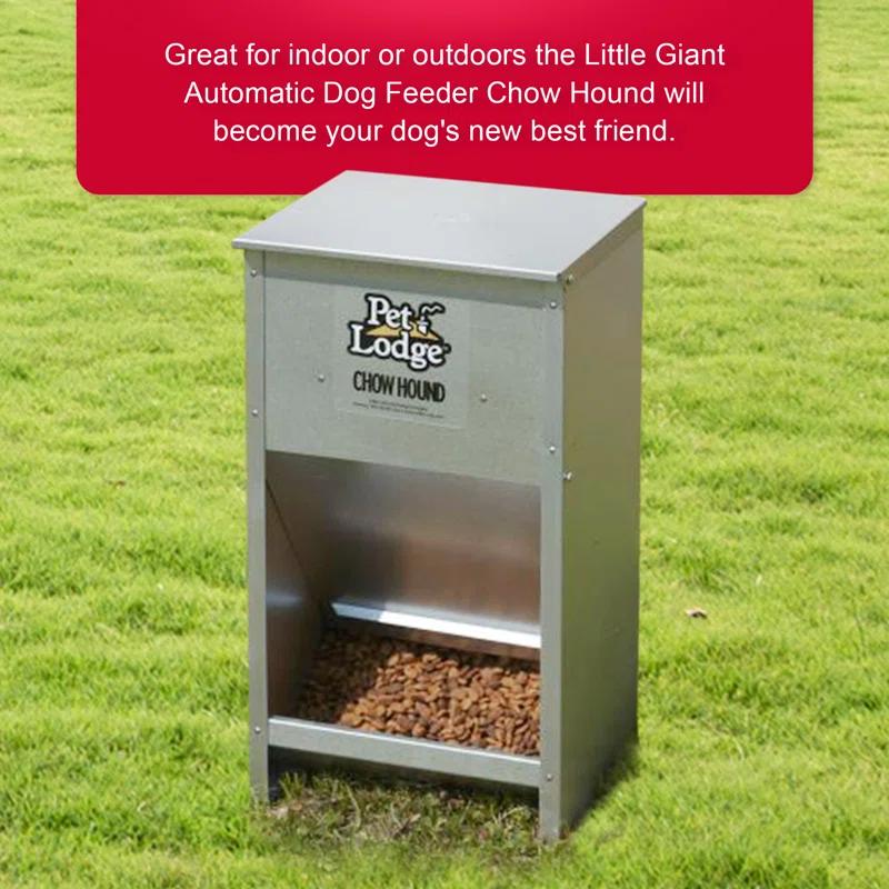 Little Giant Pet Lodge Dry Food Automatic Steel Dog Feeder Chow Hound 25 Pound Capacity