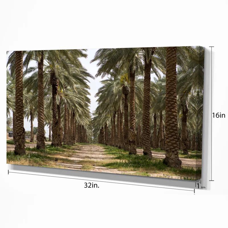 Design Art " Date Palm Plantation Photography "