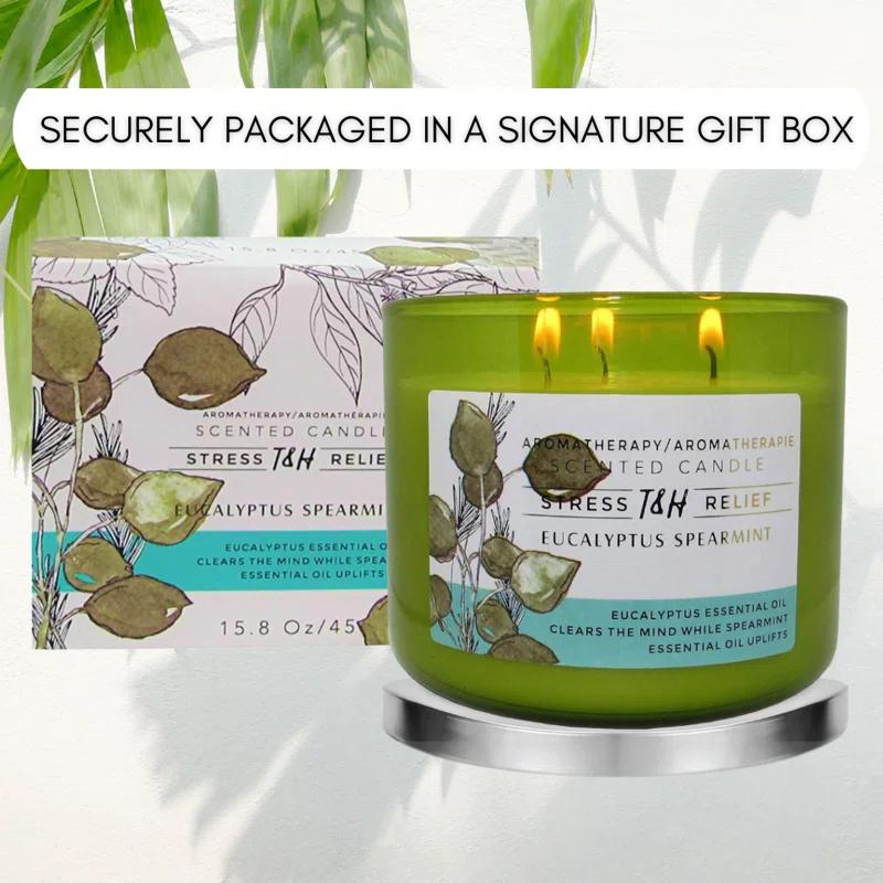 T&H Wholesalers Eucalyptus Spearmint Scented Soy Candle 3 Wick Aromatherapy Candle for Women and Men