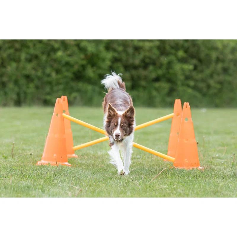 TRIXIE TRIXIE Dog Agility Hurdle Cone Set, Portable Canine Agility Training Set
