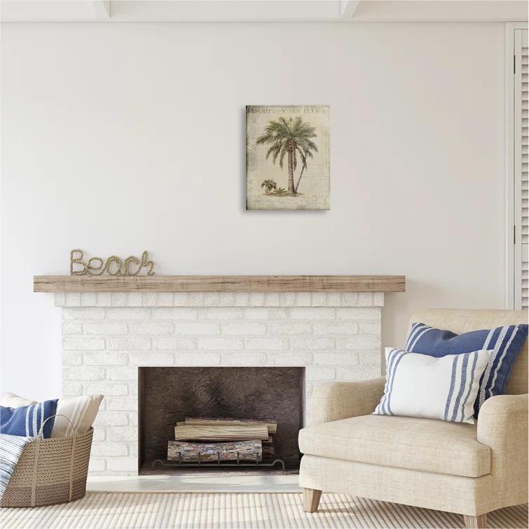 Stupell Industries " Vintage Palm Tree Study " by Andrea Haase