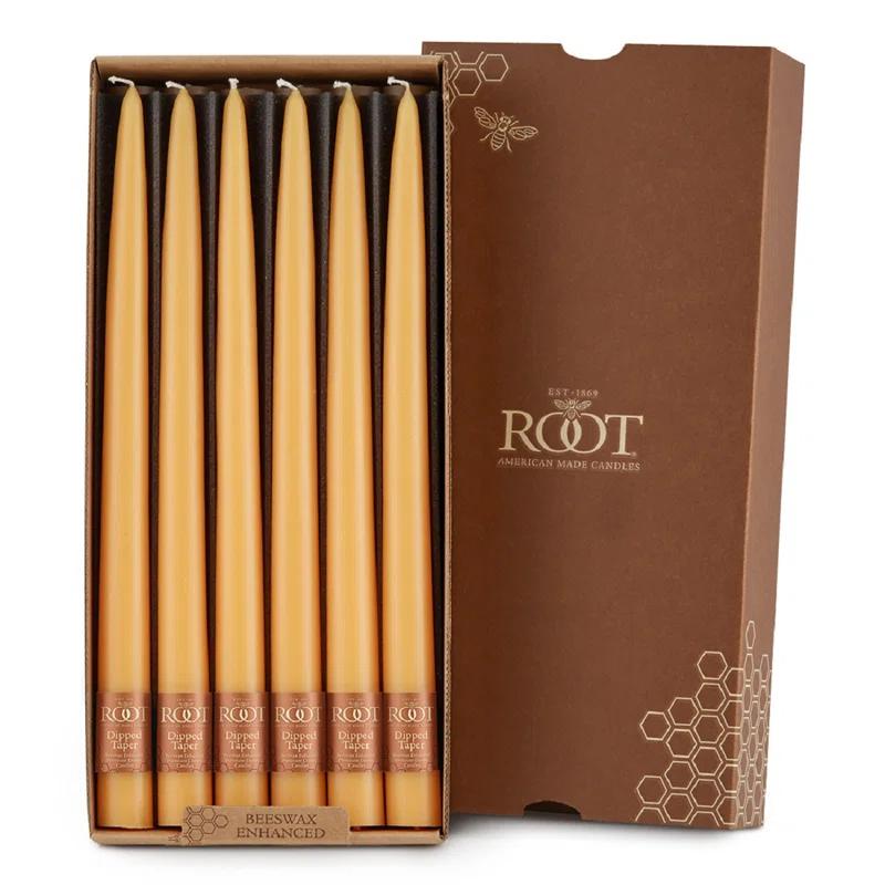 Root Candles 12 Piece Unscented Taper Candle Set & Reviews | AllModern