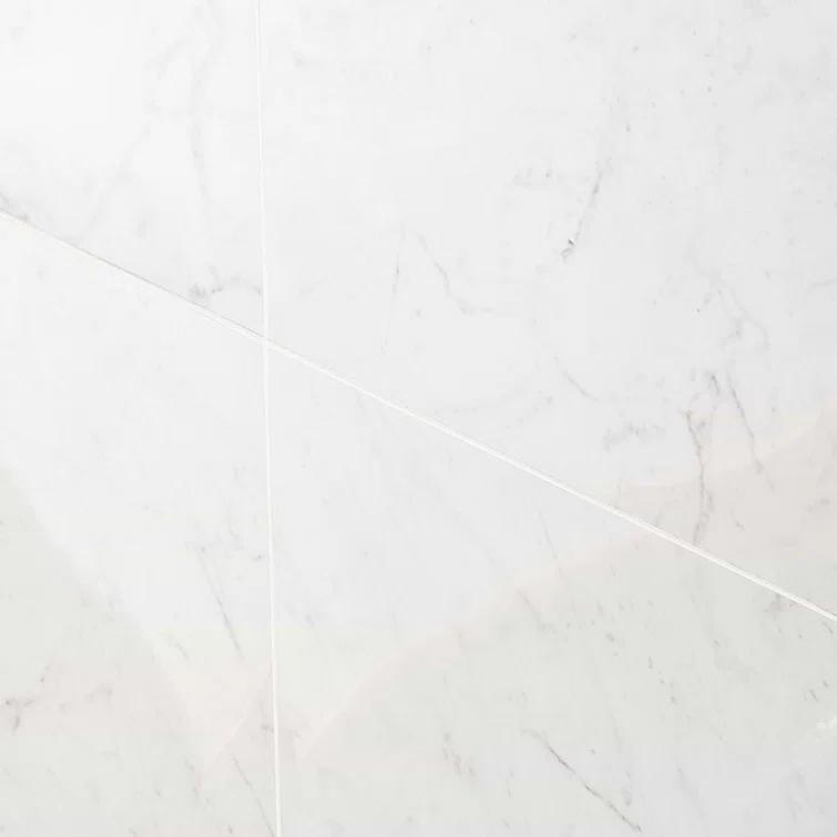 24" x 24" Polished Marble Look Porcelain Floor and Wall Tile (15.5 Sq. Ft. / Case)