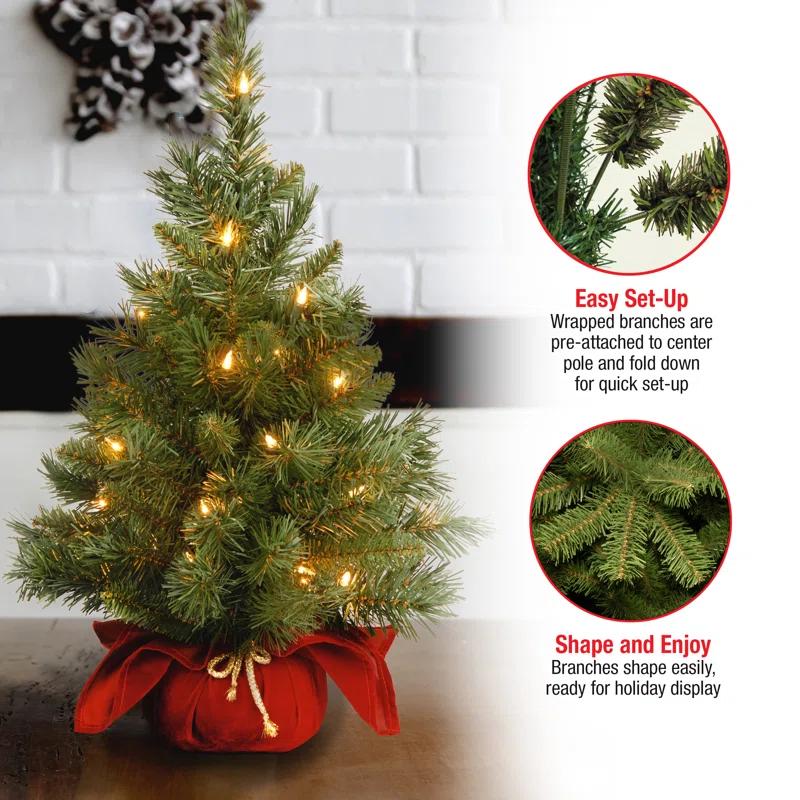 The Holiday Aisle® 2ft. Majestic Fir Tree with Clear Lights