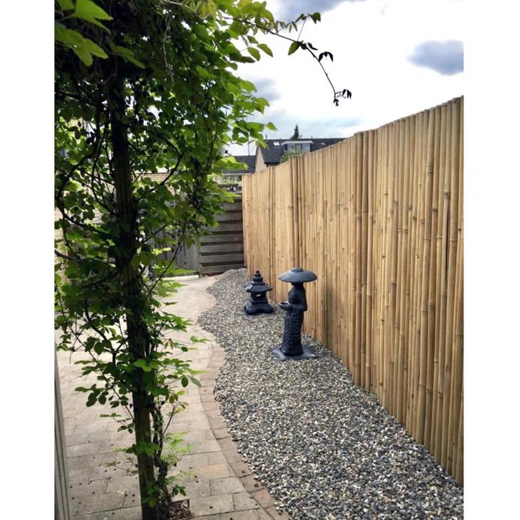 MGP XL 2.5 inches Bamboo Pole Fencing