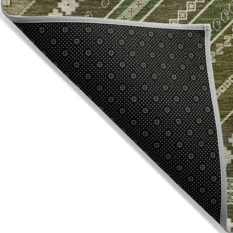 Machine Washable Indoor/Outdoor Chayden ACN1010 Rug