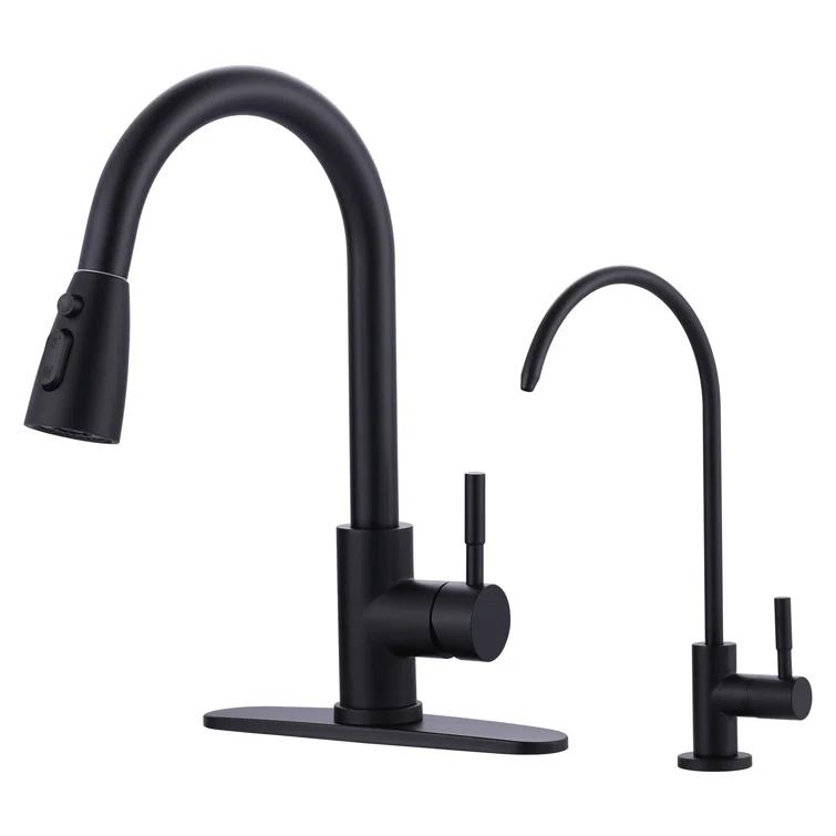 ARCORA ARCORA Stainless Steel Pull-Down Kitchen Faucet and Water Filter Faucet Combo AR7100301B-L