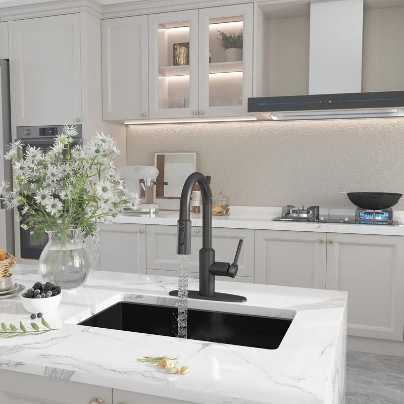 Boyel Living BL-APS244-MB Boyel Living Kitchen Faucet