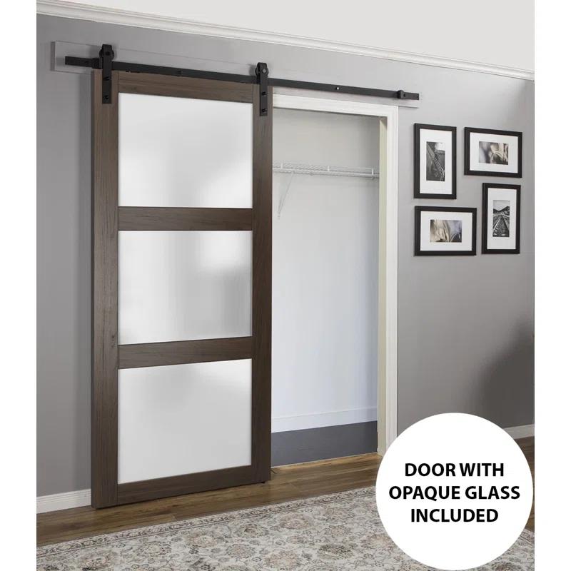 SARTODOORS Lucia Frosted Glass Standard Door Slab