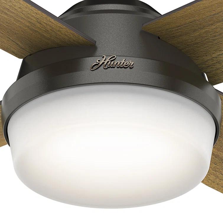 Hunter Fan Dempsey 52" 4 - Blade Contemporary Indoor Ceiling Fan with Lights and Remote