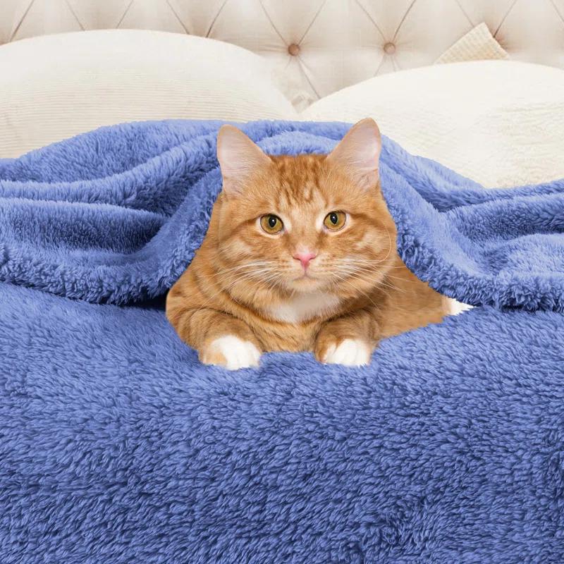 Superior Solid Polyester Reversible All-Season Fleece Throws Blanket