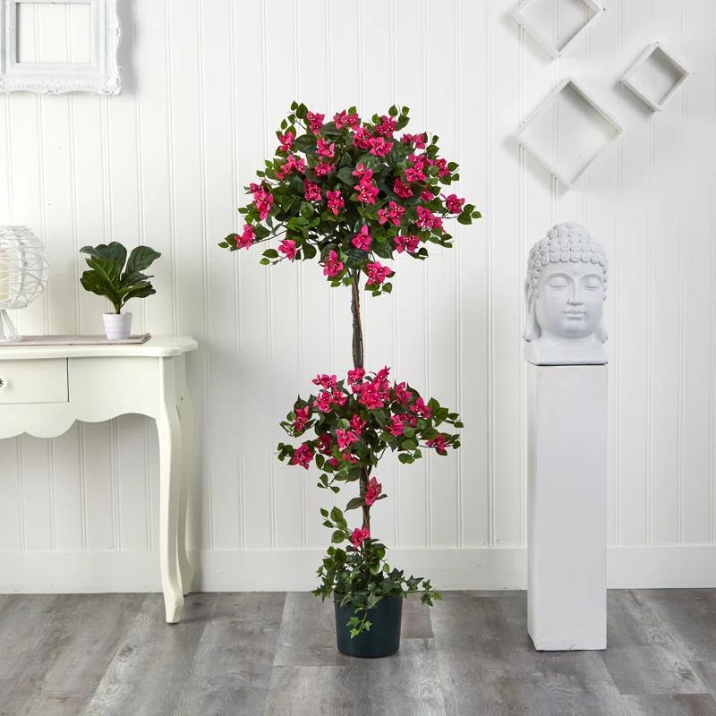 Primrue 5ft. Mini Bougainvillea Topiary